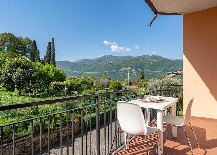 Jasmine Lilla - In With Terrace *