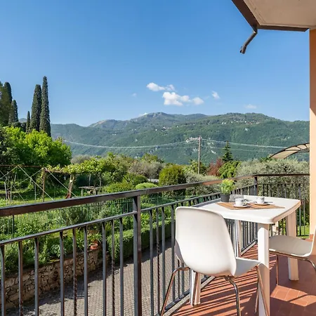 Jasmine Lilla - In With Terrace *