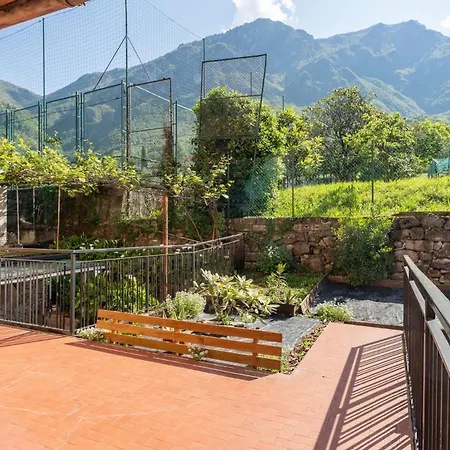 Jasmine Lilla - In With Terrace * Lierna